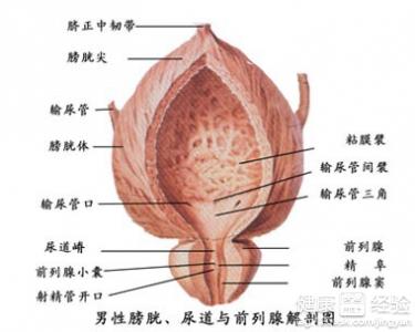 第1步